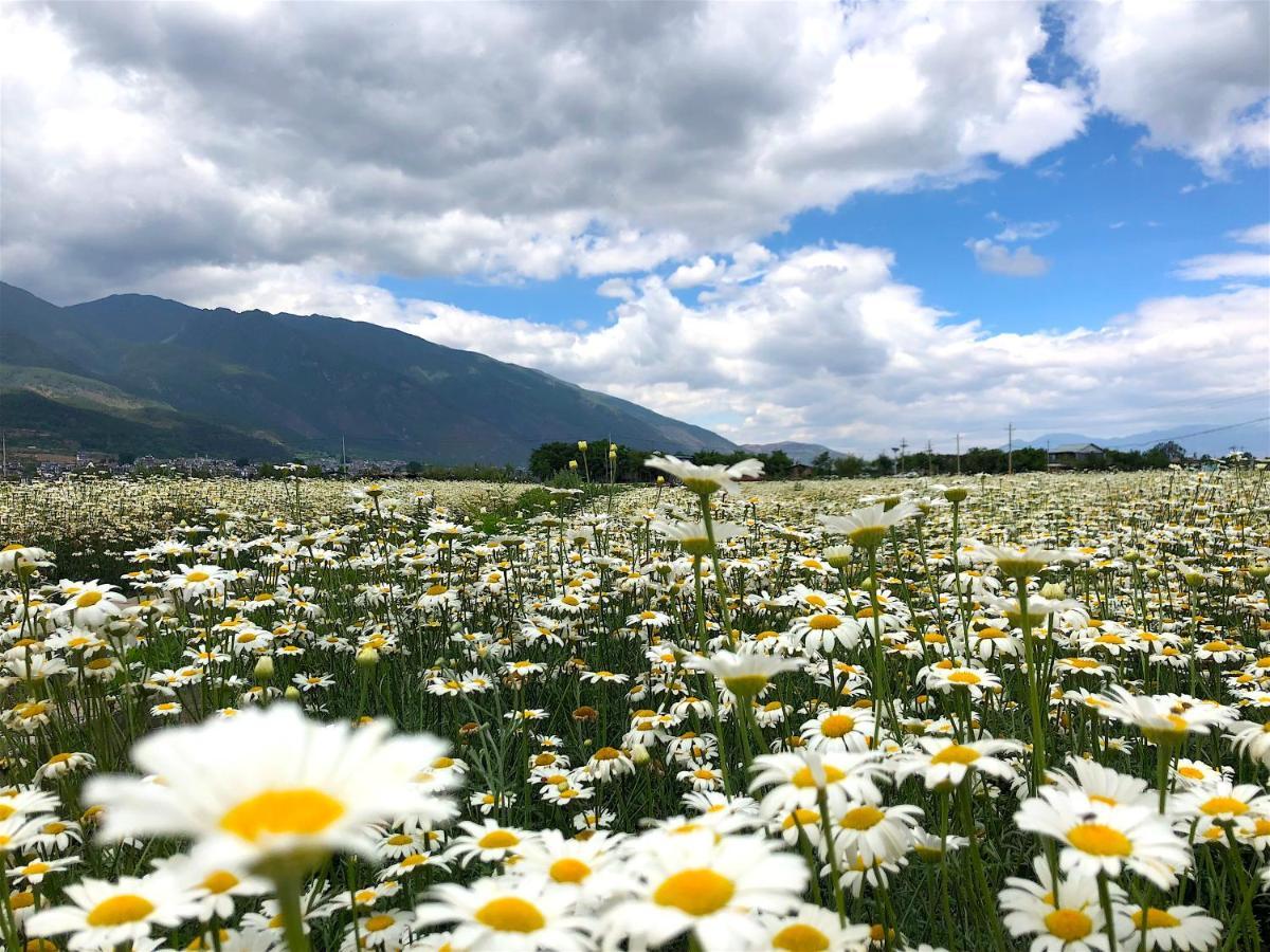 Dali Sky Valley Heritage Boutique Hotel Dış mekan fotoğraf
